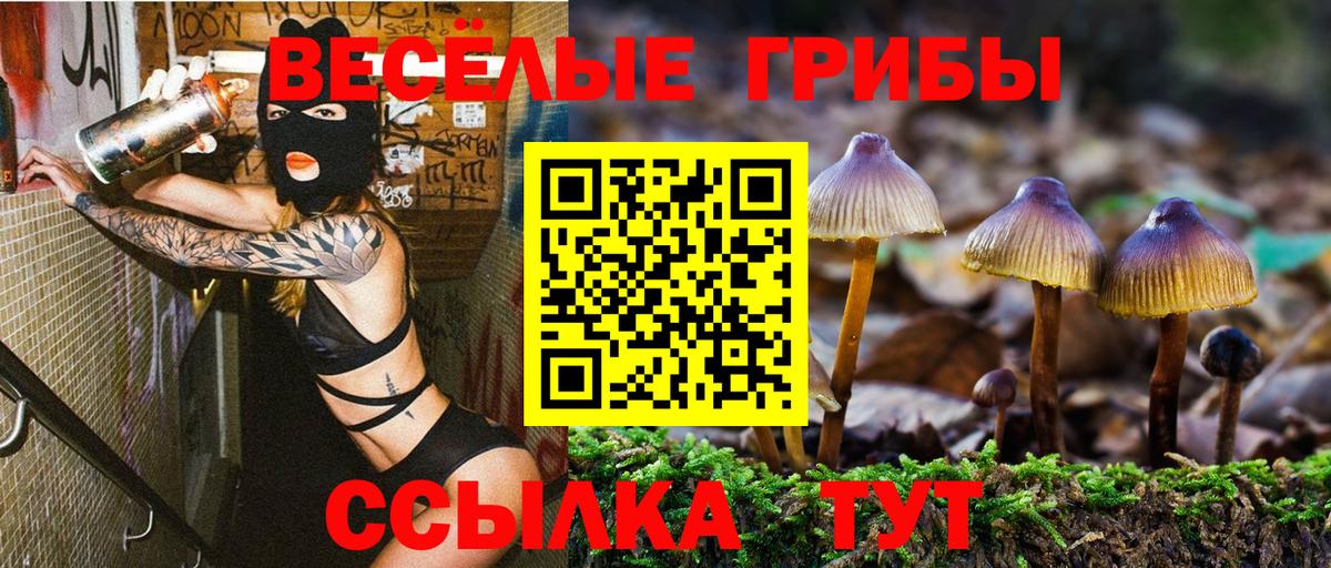 Галлюциногенные грибы прущие грибы  Вход с VPN  Псилоцибиновые грибы мухоморы  Вышний Волочёк 