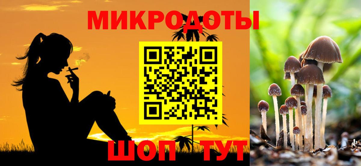 ГАШ Вышний Волочёк